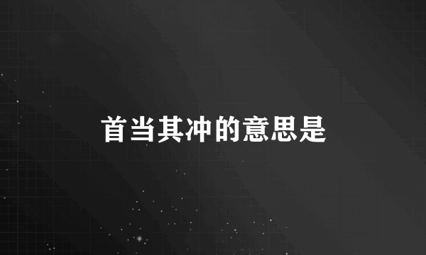 首当其冲的意思是