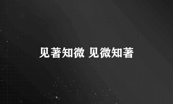 见著知微 见微知著