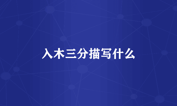 入木三分描写什么