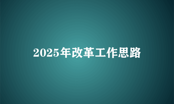 2025年改革工作思路