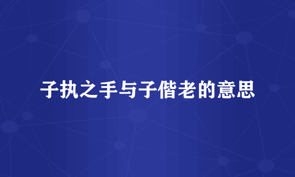 子执之手与子偕老的意思