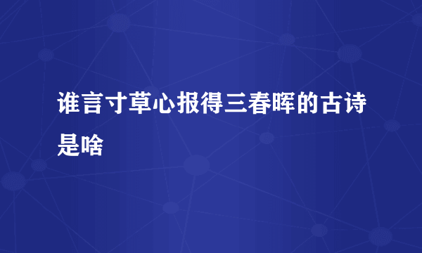 谁言寸草心报得三春晖的古诗是啥