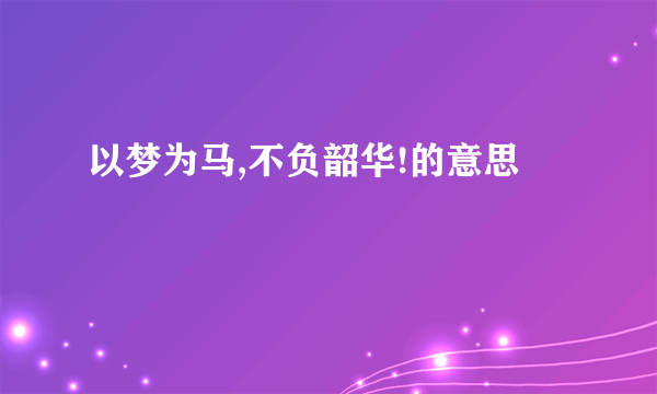 以梦为马,不负韶华!的意思