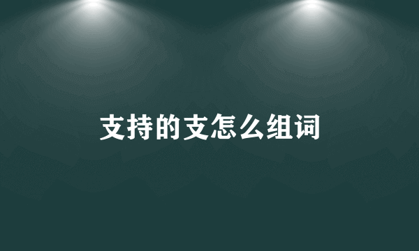 支持的支怎么组词