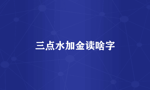 三点水加金读啥字