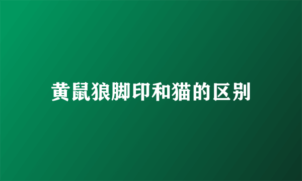 黄鼠狼脚印和猫的区别