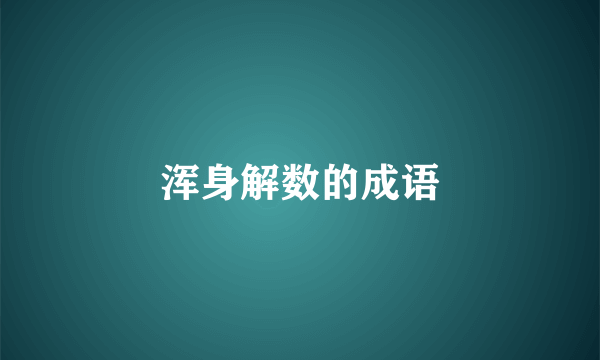 浑身解数的成语