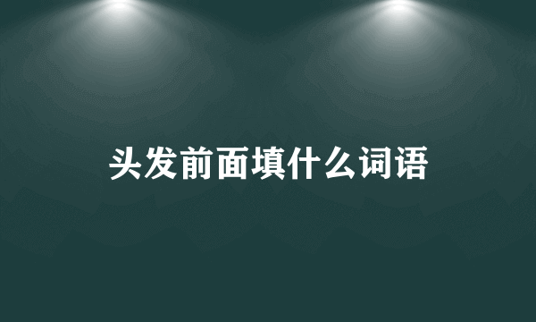 头发前面填什么词语