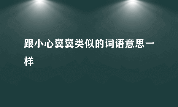 跟小心翼翼类似的词语意思一样