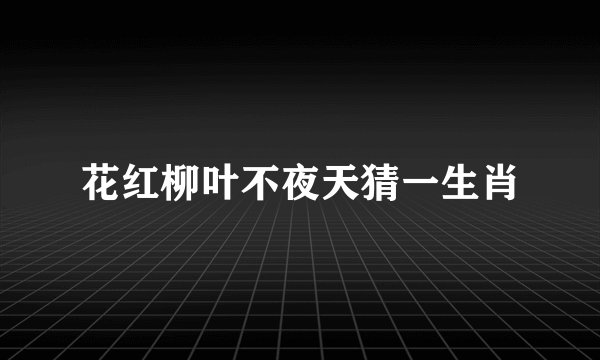 花红柳叶不夜天猜一生肖