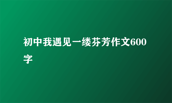 初中我遇见一缕芬芳作文600字