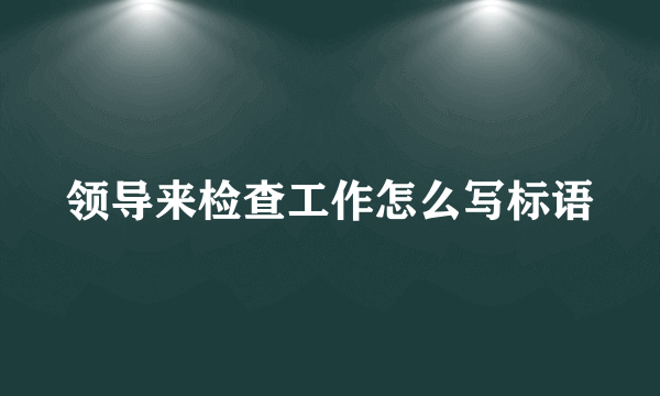 领导来检查工作怎么写标语