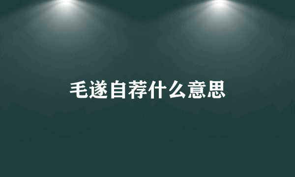 毛遂自荐什么意思
