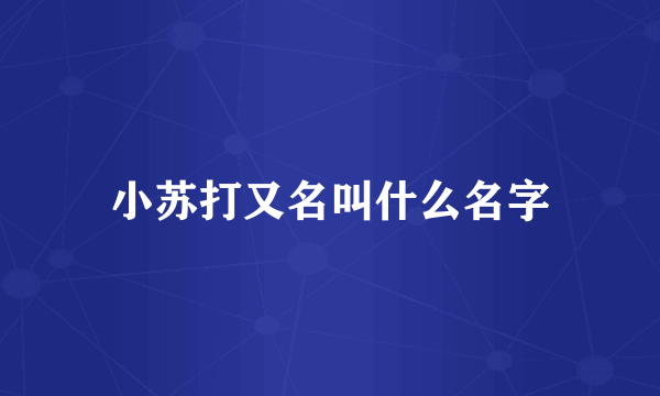 小苏打又名叫什么名字