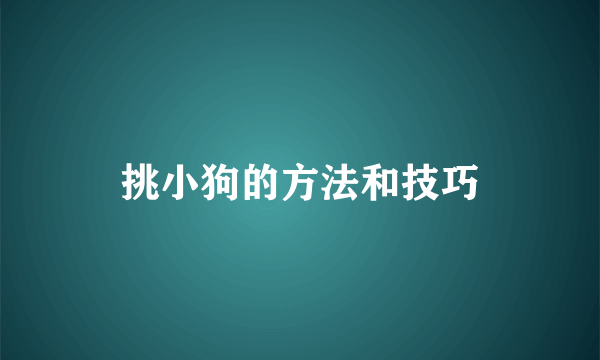 挑小狗的方法和技巧