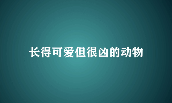 长得可爱但很凶的动物