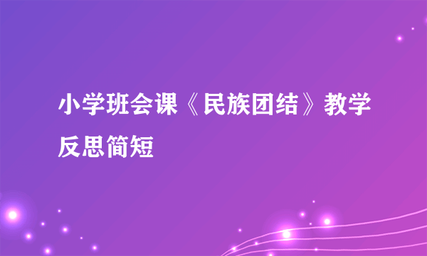 小学班会课《民族团结》教学反思简短