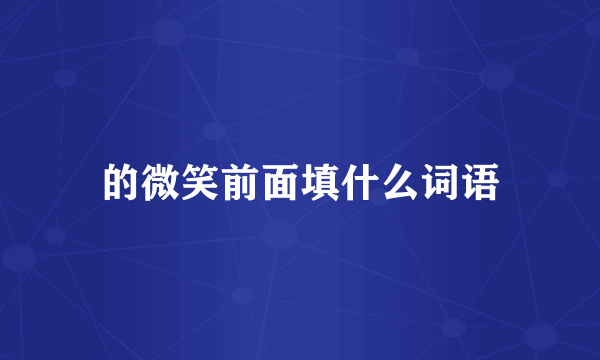 的微笑前面填什么词语