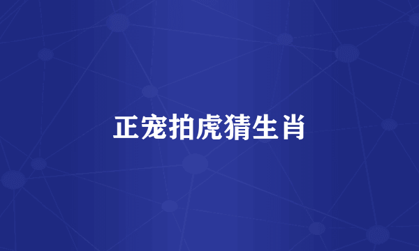 正宠拍虎猜生肖
