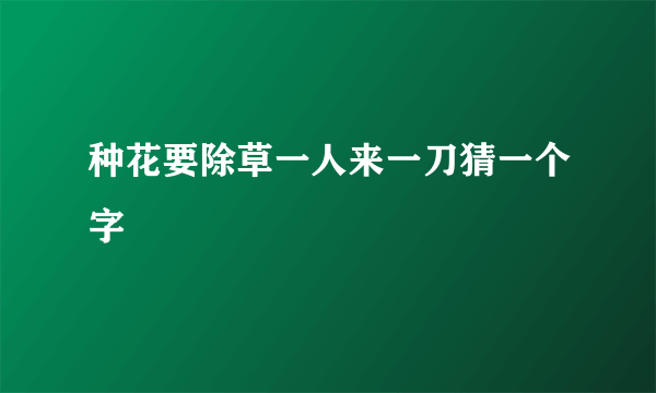 种花要除草一人来一刀猜一个字