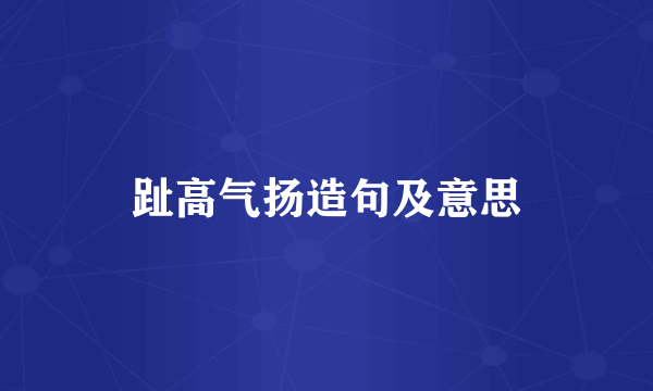 趾高气扬造句及意思