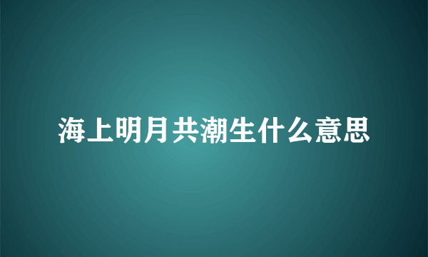海上明月共潮生什么意思