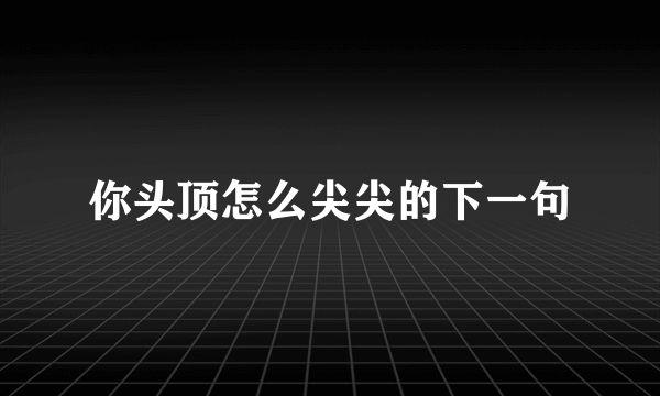 你头顶怎么尖尖的下一句