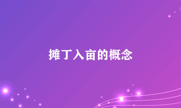 摊丁入亩的概念