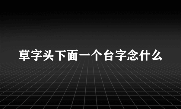 草字头下面一个台字念什么