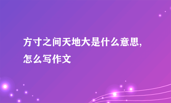 方寸之间天地大是什么意思,怎么写作文