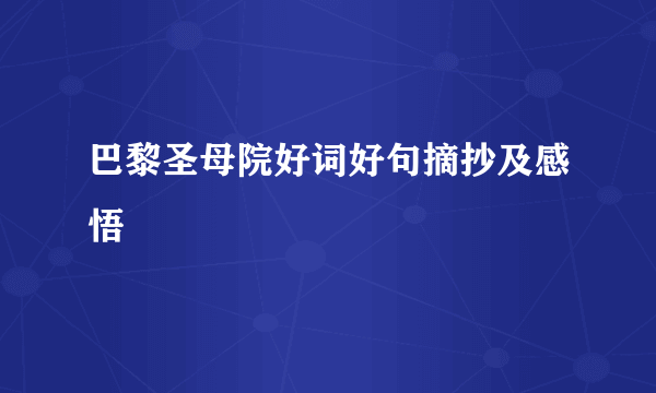 巴黎圣母院好词好句摘抄及感悟