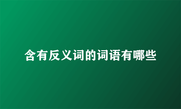含有反义词的词语有哪些