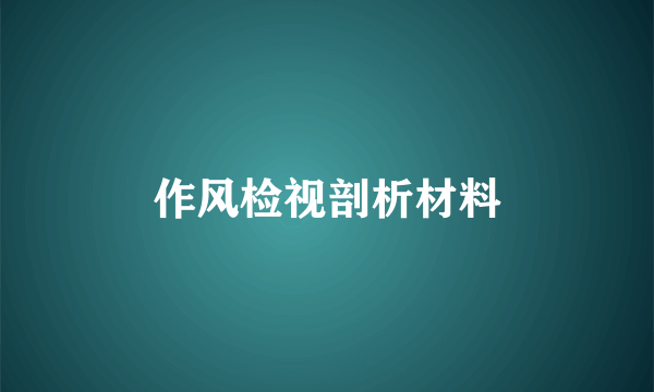 作风检视剖析材料