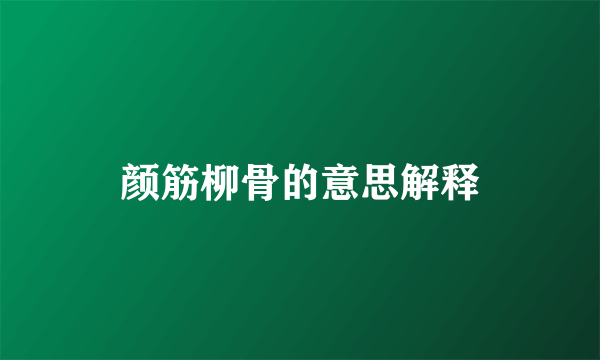 颜筋柳骨的意思解释