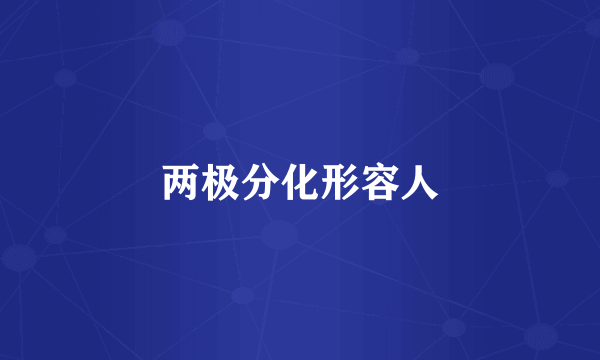 两极分化形容人