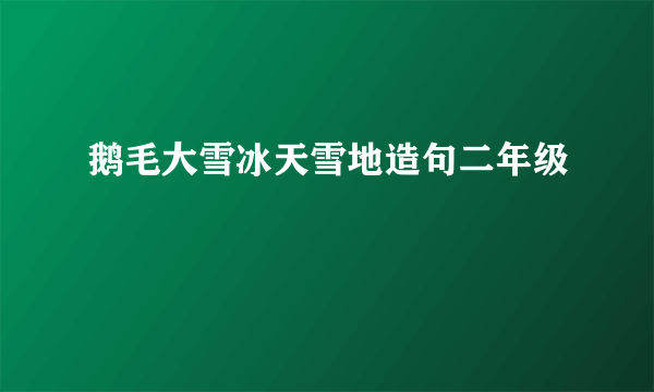 鹅毛大雪冰天雪地造句二年级