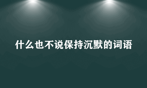 什么也不说保持沉默的词语