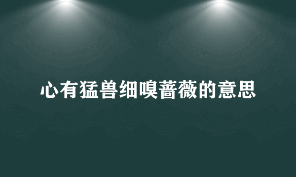 心有猛兽细嗅蔷薇的意思