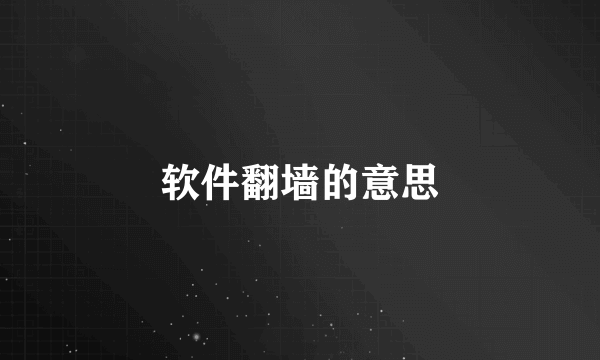 软件翻墙的意思