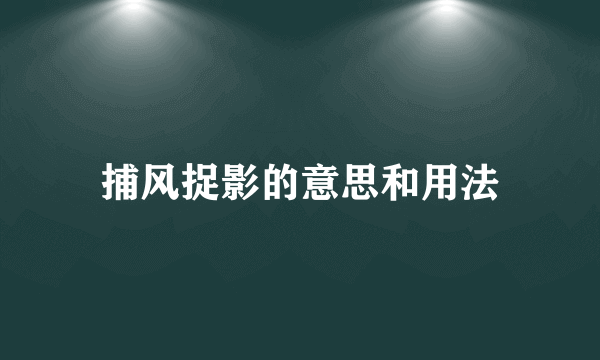 捕风捉影的意思和用法