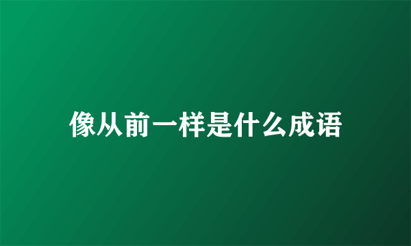 像从前一样是什么成语