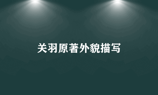 关羽原著外貌描写