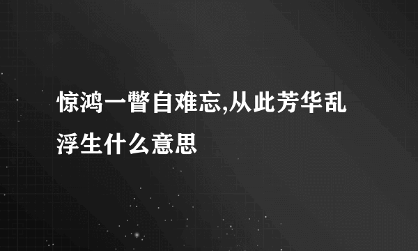 惊鸿一瞥自难忘,从此芳华乱浮生什么意思