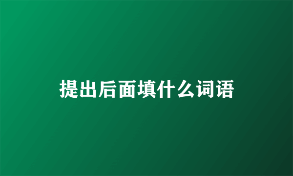 提出后面填什么词语