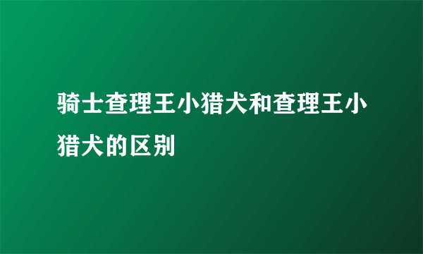 骑士查理王小猎犬和查理王小猎犬的区别