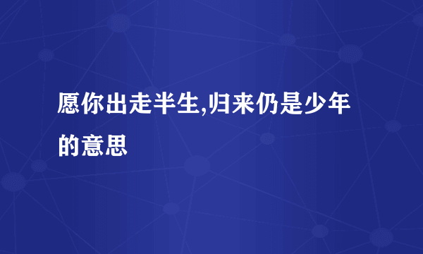愿你出走半生,归来仍是少年的意思
