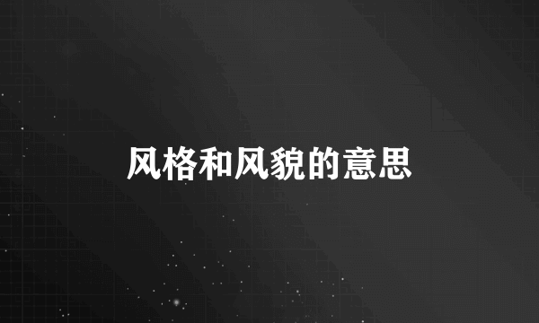 风格和风貌的意思