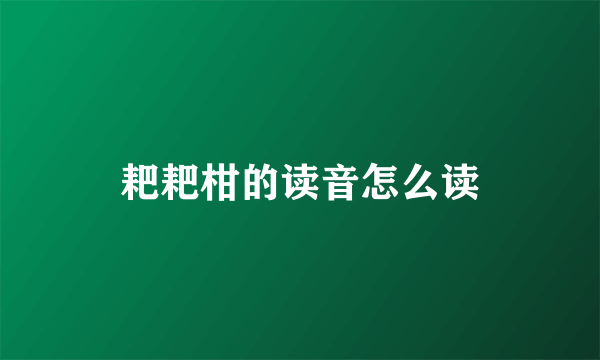 耙耙柑的读音怎么读