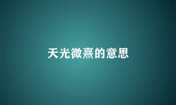 天光微熹的意思
