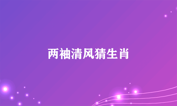 两袖清风猜生肖